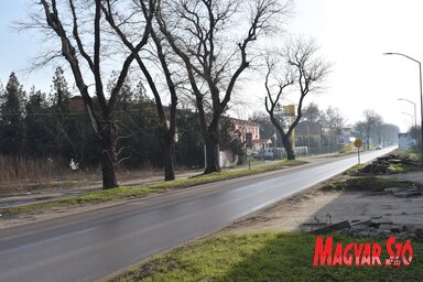 A Jovan Mikić utcát régen Párhuzamos útnak hívták / Patyi Szilárd felvétele