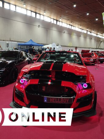 A fekete Mustang és társa, a Magyarországról érkezett Ördögi fiú, azaz Hellboy a kiállítás izomkettőseként tündökölt (Fotó: Zabos Kasziba Angéla) A fekete Mustang és társa, a Magyarországról érkezett Ördögi fiú, azaz Hellboy a kiállítás izomkettőseként tündökölt (Fotó: Zabos Kasziba Angéla)