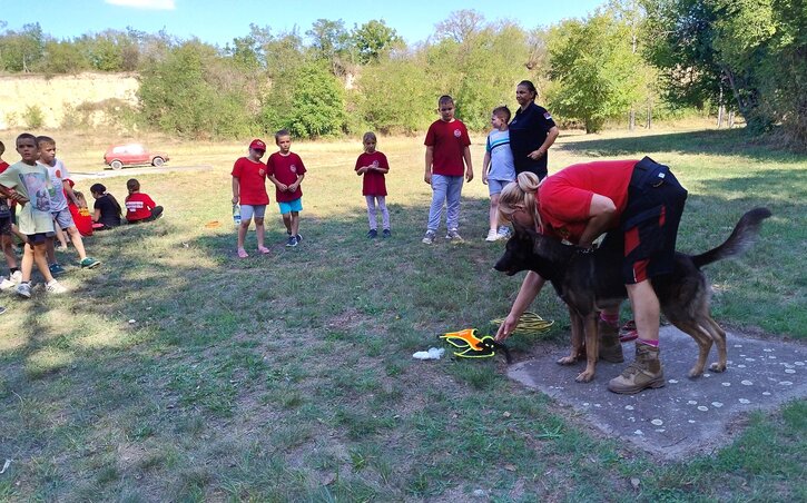 Látványos bemutatókkal zajlottak a programok (Fotó: Kádár Károly felvétele) Látványos bemutatókkal zajlottak a programok (Fotó: Kádár Károly felvétele)