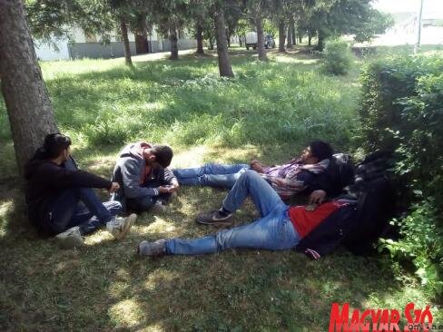 Béreg központjában várakoznak a migránsok (Kabók Erika 2017 nyarán készült felvétele) Béreg központjában várakoznak a migránsok (Kabók Erika 2017 nyarán készült felvétele)