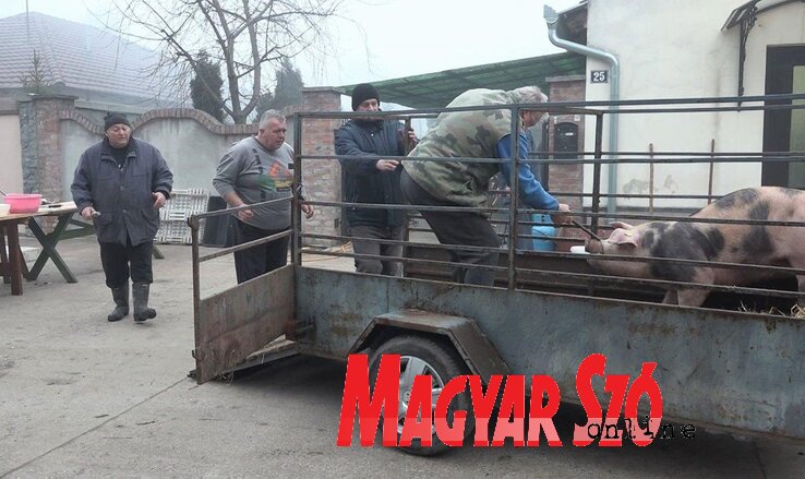 Érkezik az áldozat Érkezik az áldozat