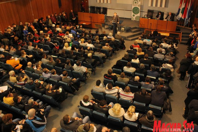 Diósi Árpád felvétele Diósi Árpád felvétele