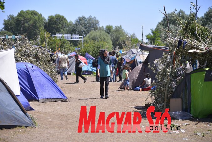 A táborozók faágakkal próbálnak némi árnyékot biztosítani maguknak (Fotó: Molnár Edvárd)