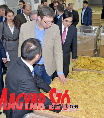 Gergely Árpád felvétele Gergely Árpád felvétele