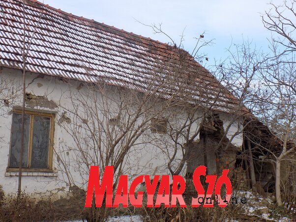 Egy hónapja még itt lakott a család Egy hónapja még itt lakott a család