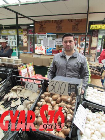 Darko Panić a Limáni piacon árulja a gombákat (Kép: Fehér Ildikó)