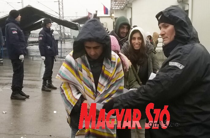 A szerb és a horvát rendőrök közösen ellenőrzik a menekültek Preševóban kiállított regisztrációs dokumentumait, mielőtt felengednék őket a vonatra (Németh Zoltán felvétele)