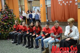 Iskolanapot ünnepelt  a kúlai Petőfi Brigád Általános Iskola (Paraczky László felvétele)