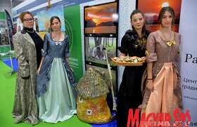 Újvidéki Mezőgazdasági Kiállítás