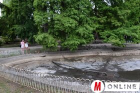 Újvidéki nyári pillanatképek