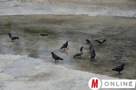 Újvidéki nyári pillanatképek