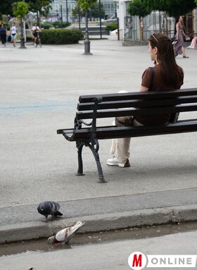 Újvidéki nyári pillanatképek
