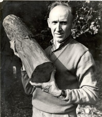 Almási alkotás közben. Lányának,
Magdának hagyatékából Kenyeres Péter őrizte meg, Bata Johanna gyűjtése Almási alkotás közben. Lányának,
Magdának hagyatékából Kenyeres Péter őrizte meg, Bata Johanna gyűjtése