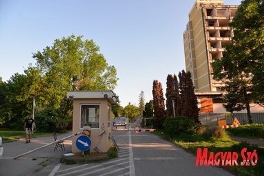 Dávid Csilla felvétele