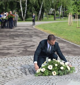 Žarko Mičin, Újvidék polgármestere