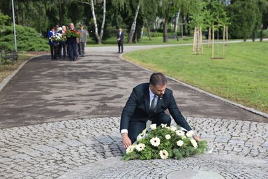 Žarko Mičin, Újvidék polgármestere