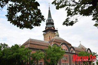 Molnár Edvárd archívum