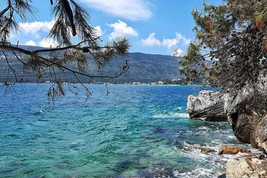 A bálna rendkívül ritka jelenség ezen a területen (Fotó: pixabay.com)
