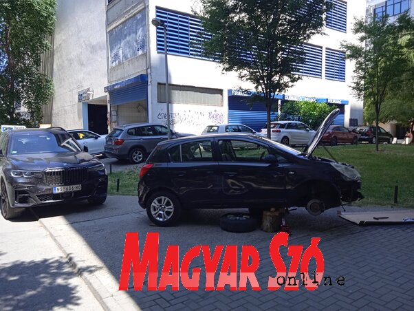 Szeli Balázs felvétele