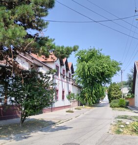 Az utca Csehszlovákia egyik alapítójának és első elnökének nevét viseli / Patyi Szilárd felvétele