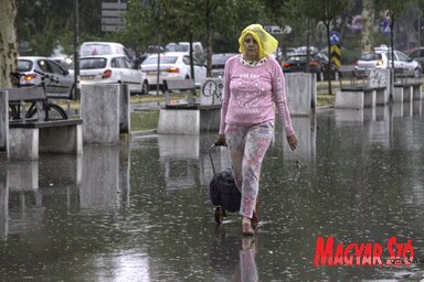 Diósi Árpád felvétele