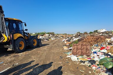 A takarítást a városi környezetvédelmi igazgatóság a környezetvédelmi minisztériummal karöltve végezte el (Fotó: novisad.rs)
