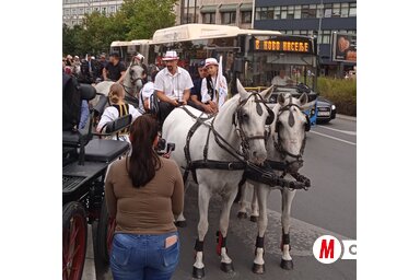 A fesztivál látványos felvonulással kezdődött csütörtökön délután: tamburazenészeket szállító fiákerek vonultak végig Újvidék utcáin (Fotó: Szeli Balázs felvétele)