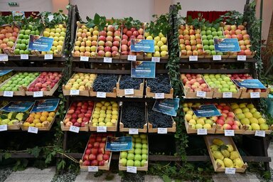 A terménykiállításon a termelők az az évi termést mutatják be / Fotó: Molnár Edvárd archív