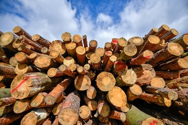 A tűzifa köbmétere szeptemberben országszerte 6500–9000 dinárba került (Fotó: MTI)