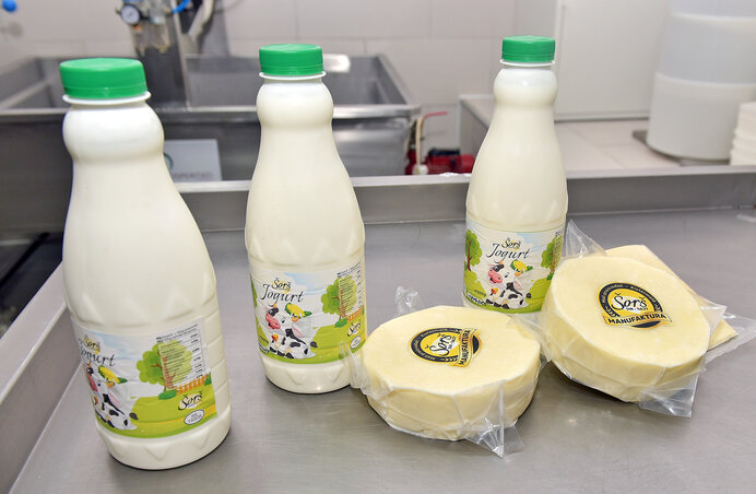 A kínálatban joghurt és sajtok is szerepelnek (Gergely Árpád felvétele) A kínálatban joghurt és sajtok is szerepelnek (Gergely Árpád felvétele)