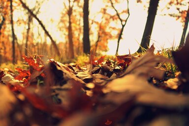 A legalacsonyabb hőmérséklet 3 fok lesz. (Kép: Pixabay / illusztráció)