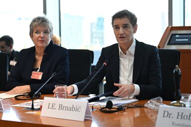 A meghallgatáson Kovács Elvira is részt vett, aki hangsúlyozta, céljuk a Szerbia és Németország közötti megértés erősítése (Fotó: Peđa Vučković)  (Peđa Vučković)