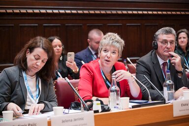 Kovács Elvira Londonban a Berlini Folyamat nyugat-balkáni csúcstalálkozójának parlamenti dimenzióján (Fotó: Facebook)