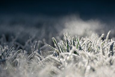 Illusztráció:pixabay.com
