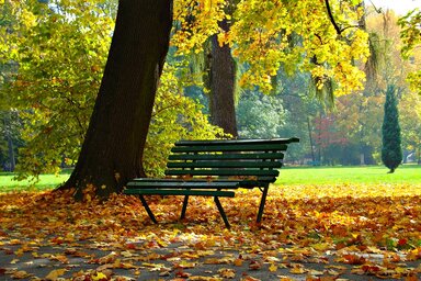 Szokatlanul meleg őszi nap lesz ma, de estére lehűlés és záporok várhatók. (Kép: Pixabay / illusztráció)