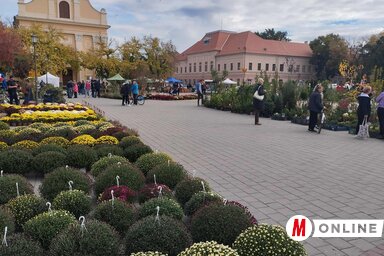 Őszi hangulat Óbecse központjában (Fotó: Kancsár Izabella felvétele)