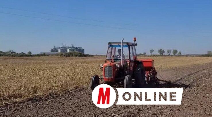 Vannak, akik úgy gondolják, jobb, ha a mag a földben várja meg az esőt Vannak, akik úgy gondolják, jobb, ha a mag a földben várja meg az esőt