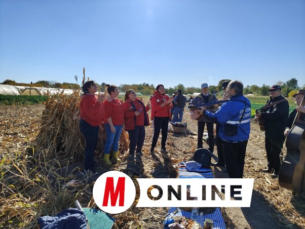 A kukoricatörőket a zentai Sarkantyú zenekar buzdította muzsikájával A kukoricatörőket a zentai Sarkantyú zenekar buzdította muzsikájával