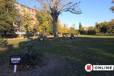 Szeli Balázs felvétele Szeli Balázs felvétele