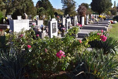 Molnár Edvárd felvétele