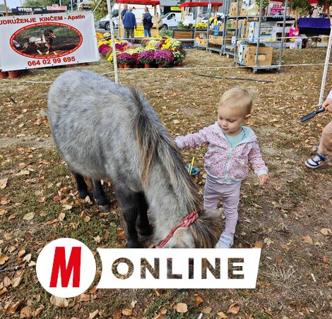 Kasza Jennifer felvétele
