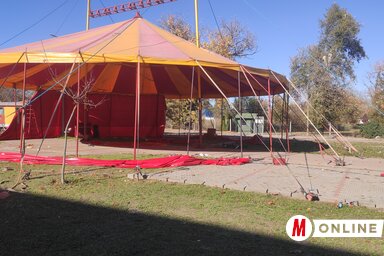 A cölöpöket több helyen is az aszfaltba verték (Horváth Attila felvétele)