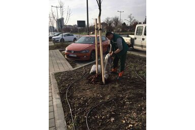 A Városi Kertészet Közvállalat komposztálótelepet hozott létre, a városi biohulladékot virágok és fák ültetésekor használja fel a gyökerek lefedésére