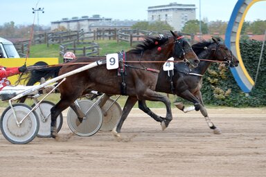 Kincsem Park – Nemzeti Lóverseny / Facebook