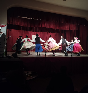 A néptáncgálán vajdasági gyermektáncegyüttesek mutatkoztak be (Kancsár Izabella felvétele)