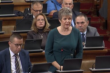 Kovács Elvira hangsúlyozta, hogy fontolják meg annak a két jelöltnek a helyzetét, akik jelenleg nem a nemzeti kisebbségi tanácsok többségének jelöltjei (Fotó: Screenshot/YouTube)