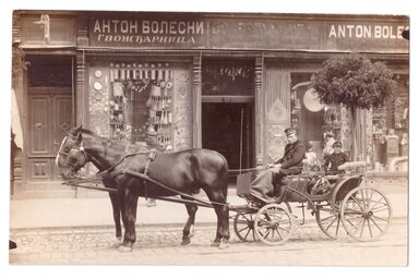 A Boleszny családnak jól menő vaskereskedése volt egykor a nagybecskereki főutcán
