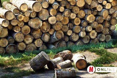 Dávid Csilla felvétele