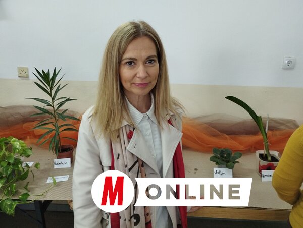 Gyivánovity Lívia a szobanövény-csereberén (Fotó: Lukács Melinda)