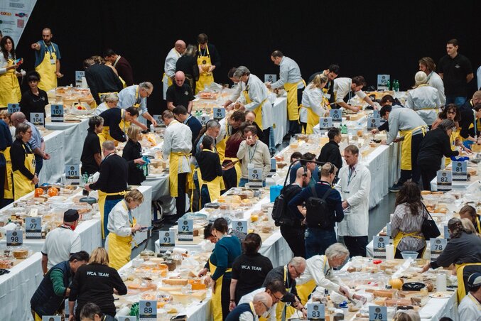 Az idei World-Cheese-Awards zsűrizése (Fotó: Agroklub.rs)